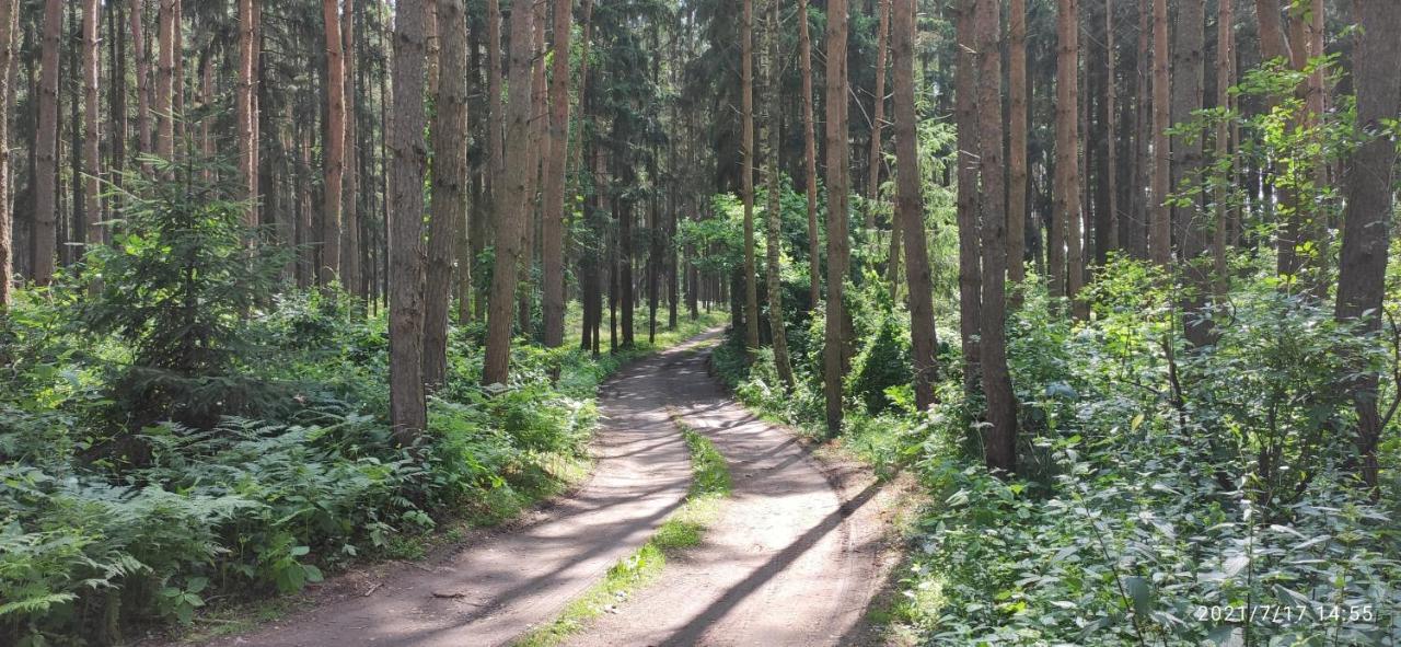 Chata Marecek - V Lesni Osade U Reky Luznice Skalice Buitenkant foto