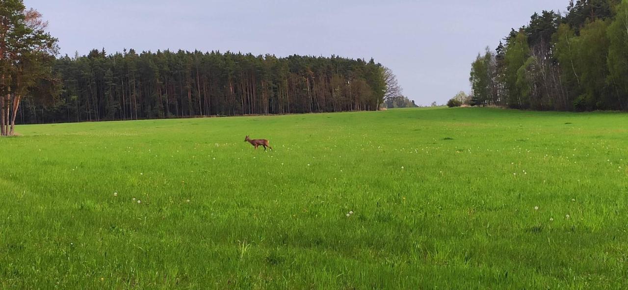 Chata Marecek - V Lesni Osade U Reky Luznice Skalice Buitenkant foto