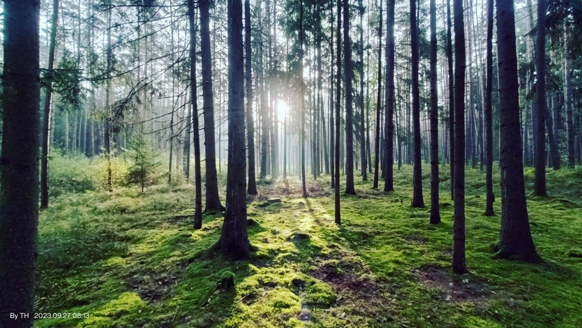 Chata Marecek - V Lesni Osade U Reky Luznice Skalice Buitenkant foto